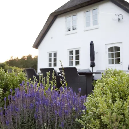 Otel Lildgaard
